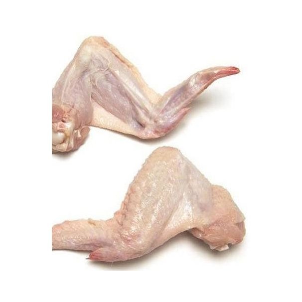 CHICKEN WINGS FOR SALE – PREMIUM WHOLESALE & EXPORT CHICKEN WINGS - Image 4