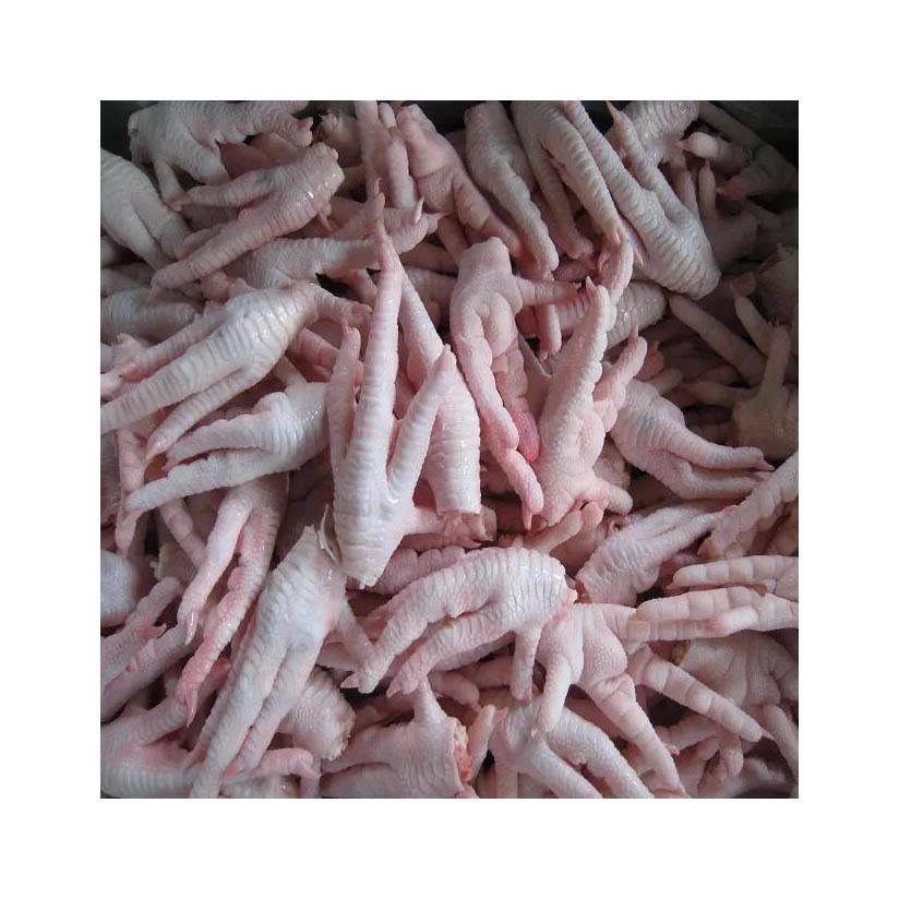 CHICKEN WINGS FOR SALE – PREMIUM WHOLESALE & EXPORT CHICKEN WINGS - Image 8